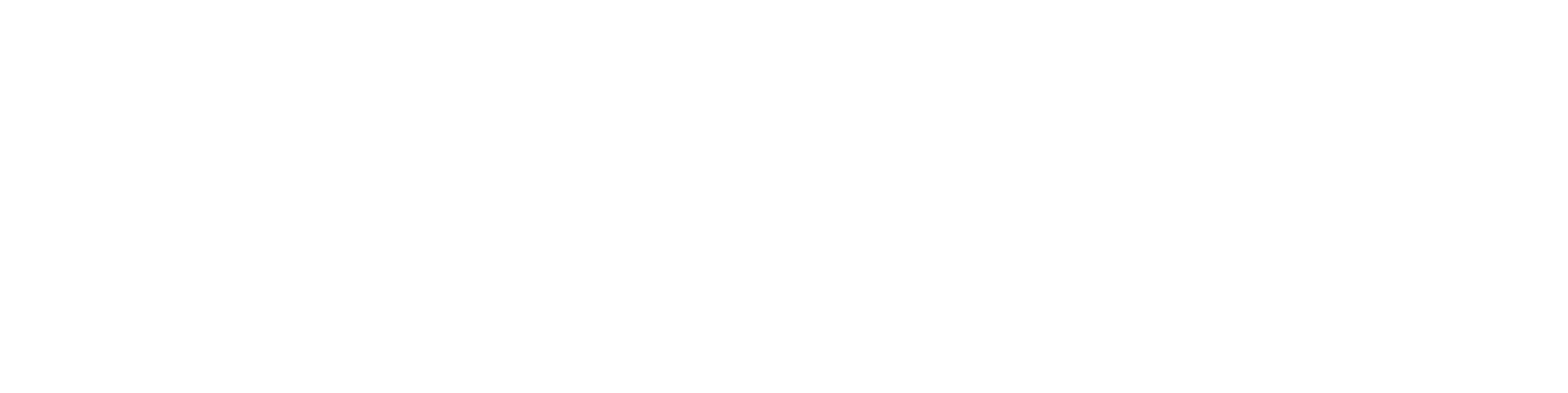 VG Logo Horizontal-White-1